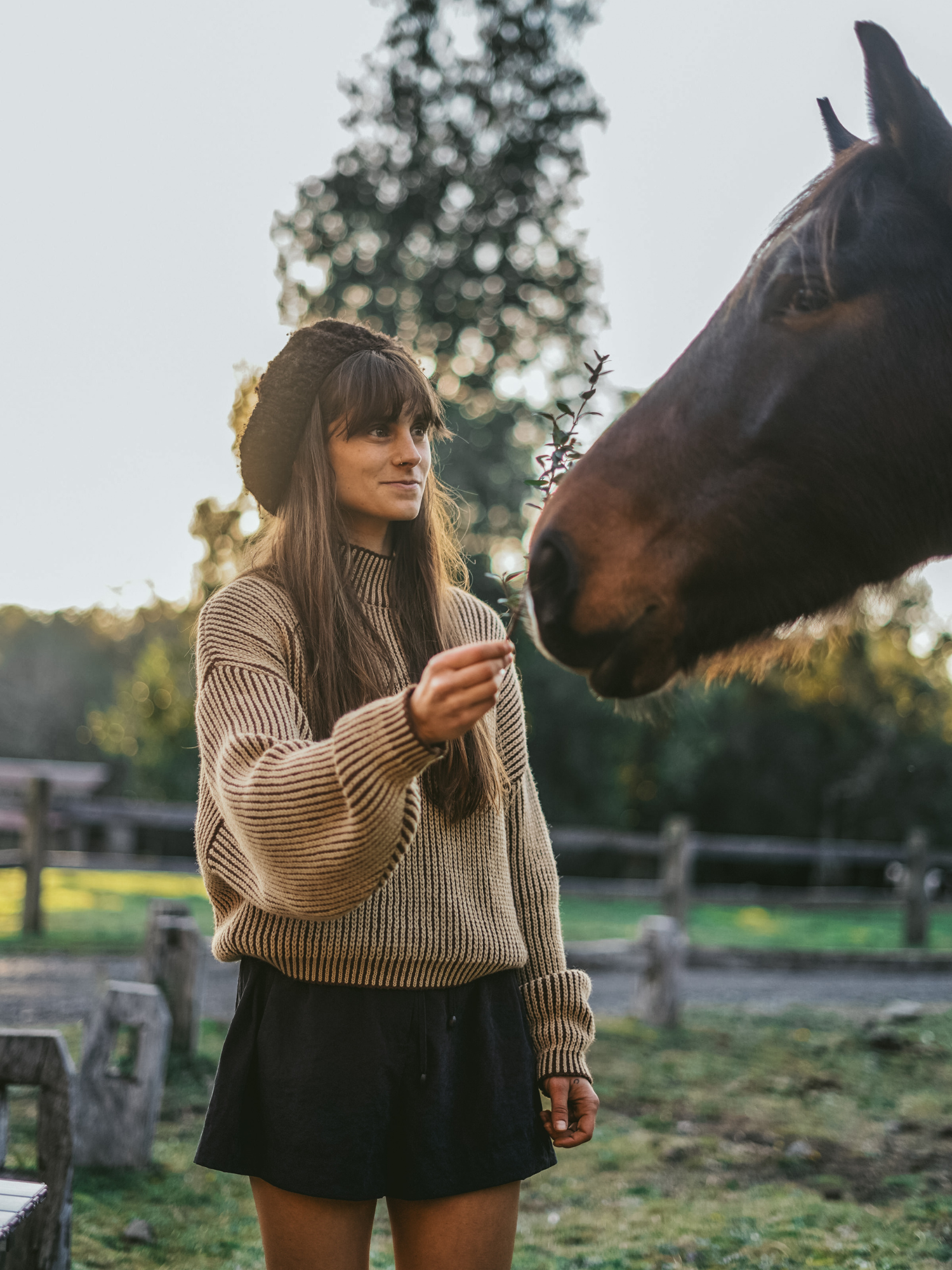 Sweater Roots - Alpaca/Lana
