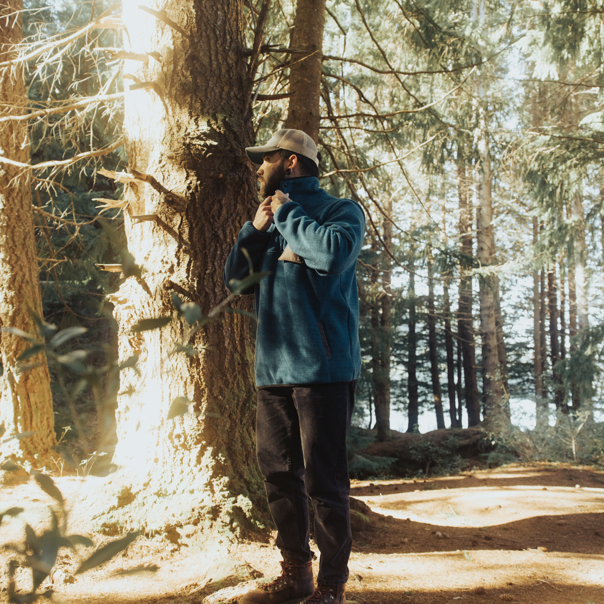 Polerón Sequoia